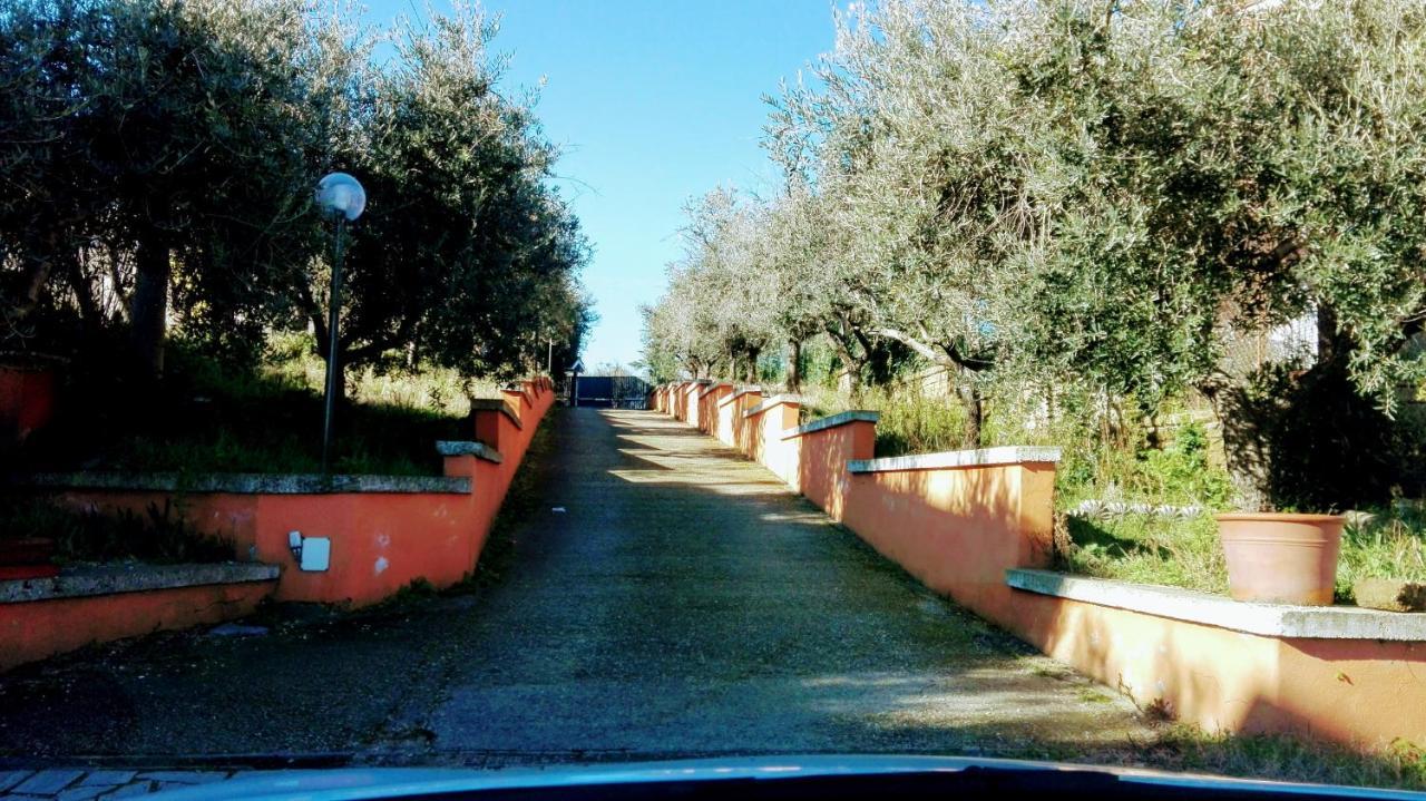 Вилла Locazione Turistica Dream House Marzia Рим Экстерьер фото
